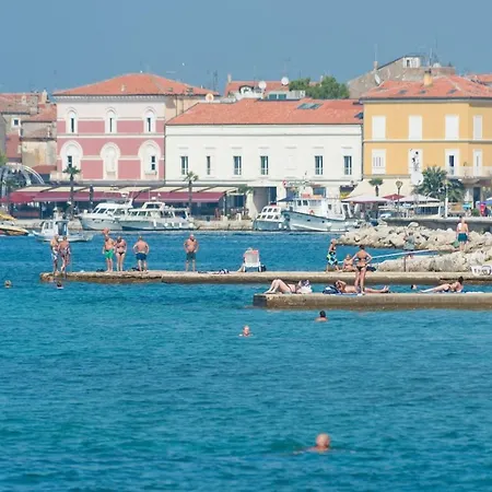 Гостевой дом Complex Sauko 3*