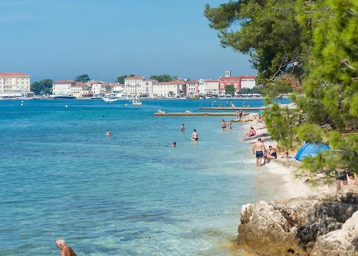 Affittacamere Complex Sauko 3*