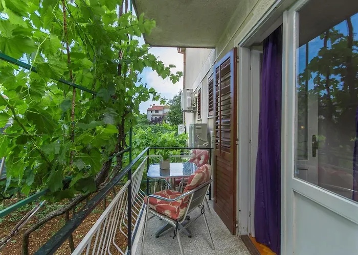 Complex Sauko Guest house Porec